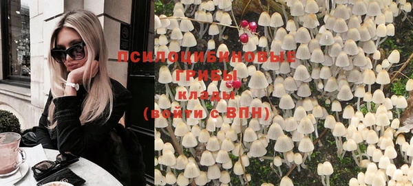 не бодяженный Аркадак