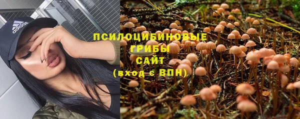 не бодяженный Аркадак
