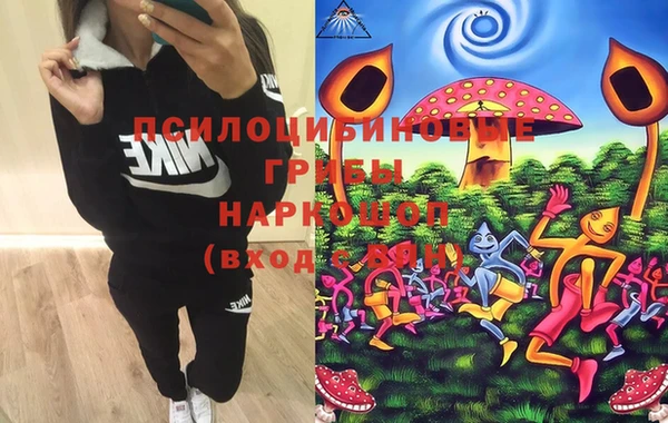 не бодяженный Аркадак