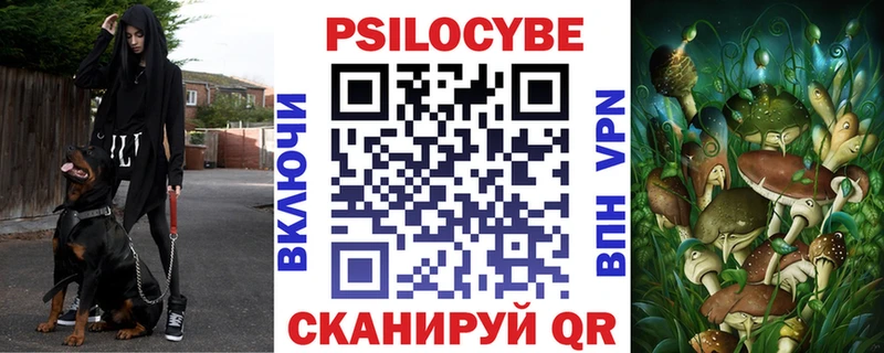 где купить наркоту  Бавлы  мега ССЫЛКА  Галлюциногенные грибы прущие грибы 